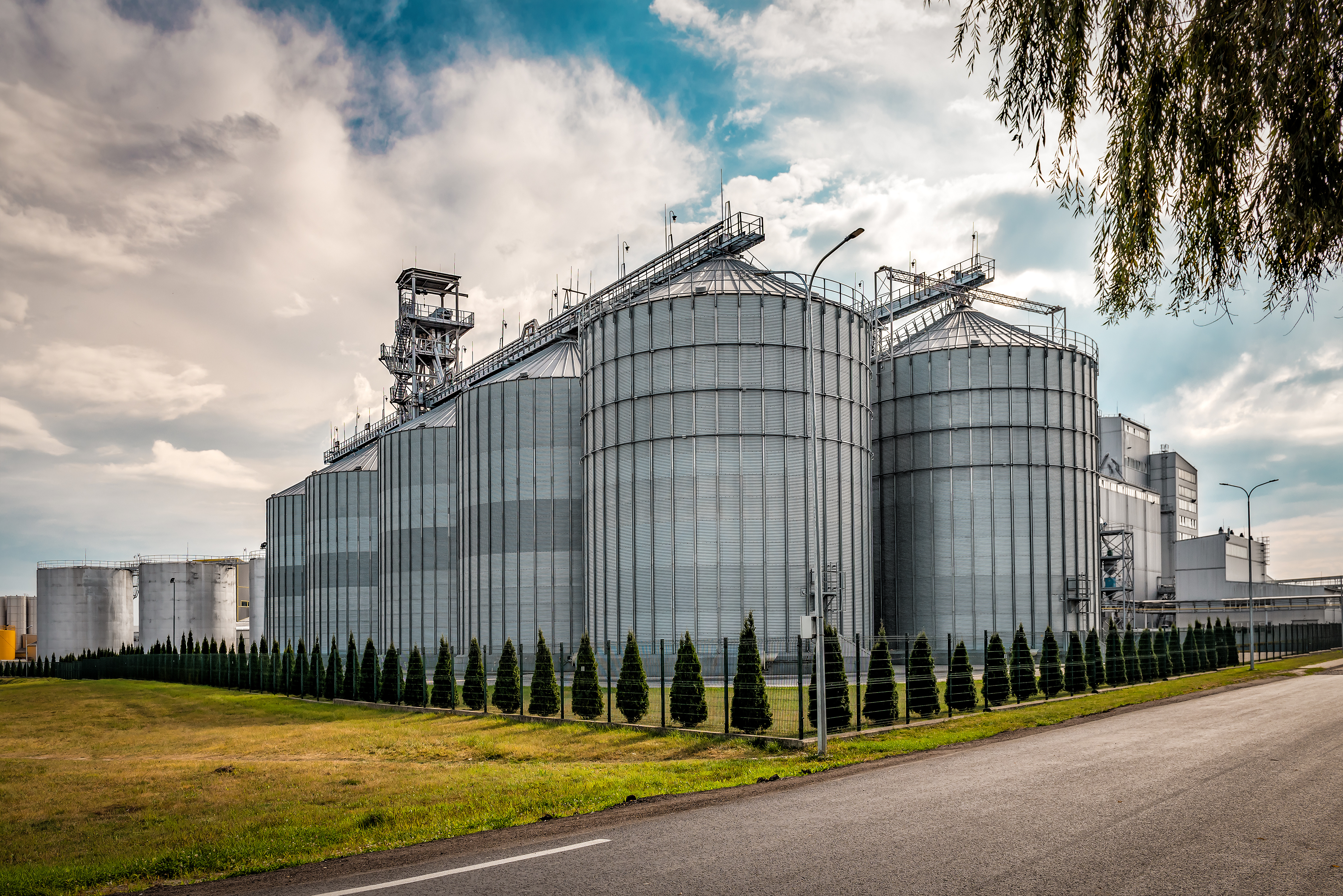 Morning Grain Comments – October 10, 2025