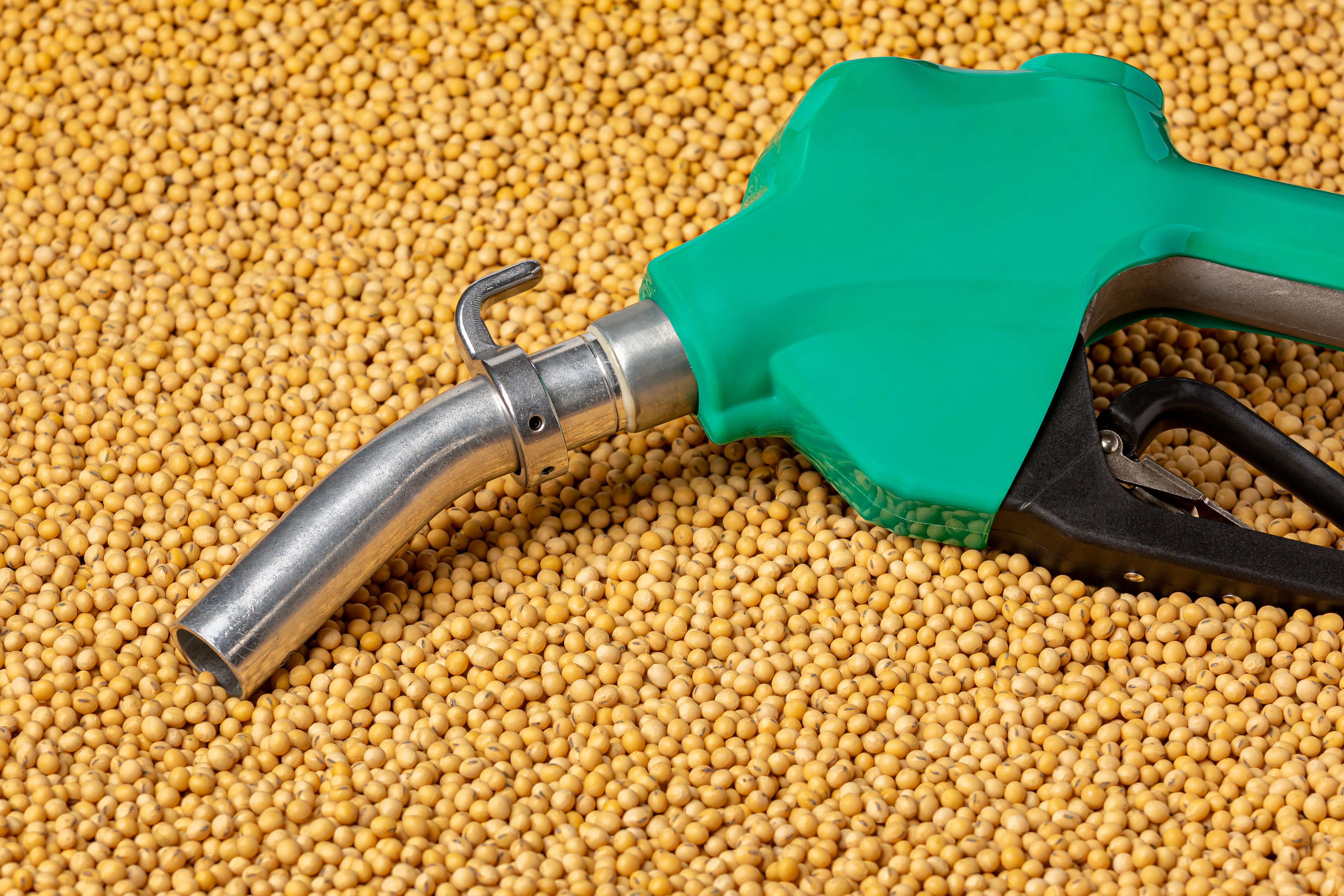 Soybean crushings dip in February, remain above estimates, NOPA