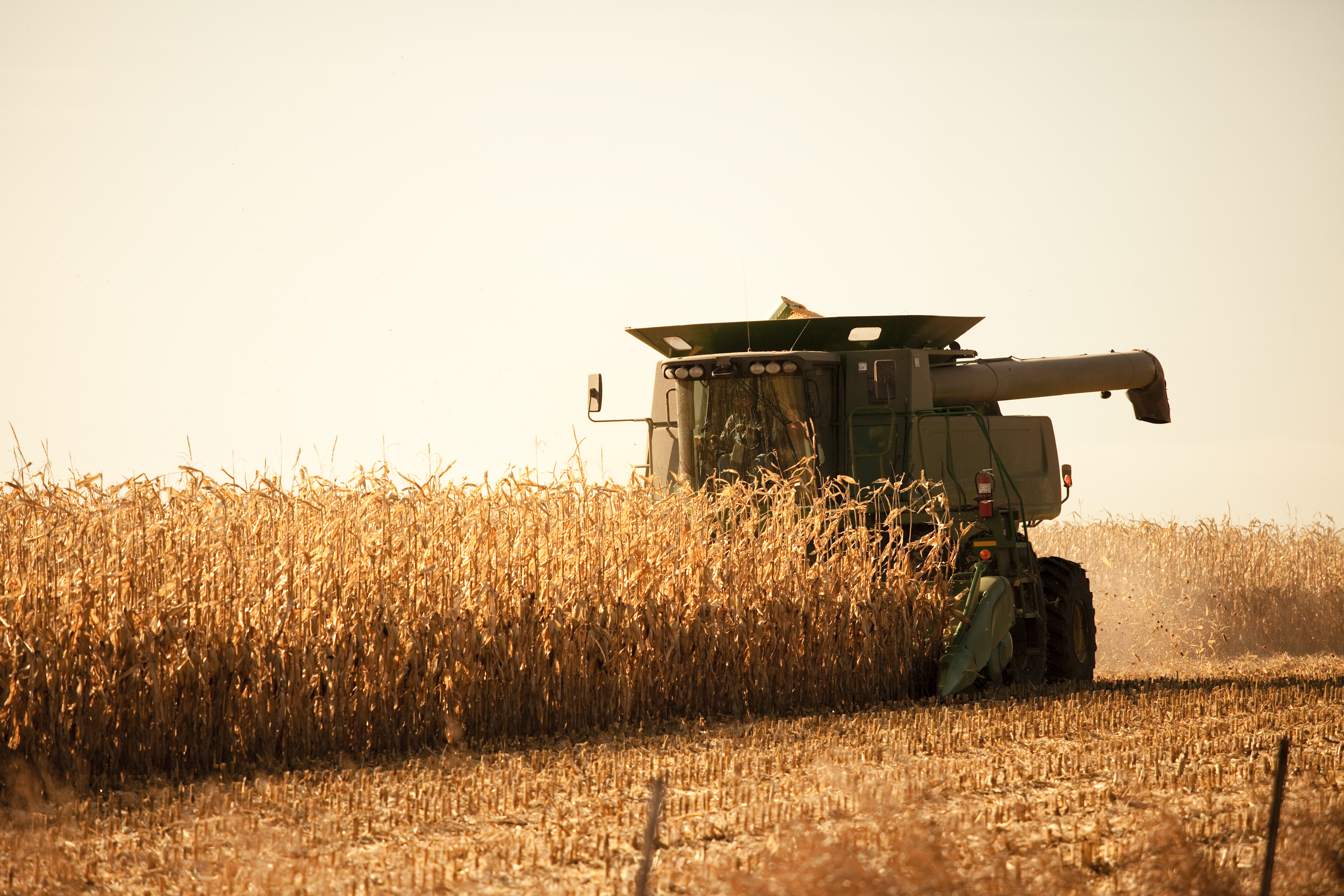 Morning Grain Comments – November 3, 2025
