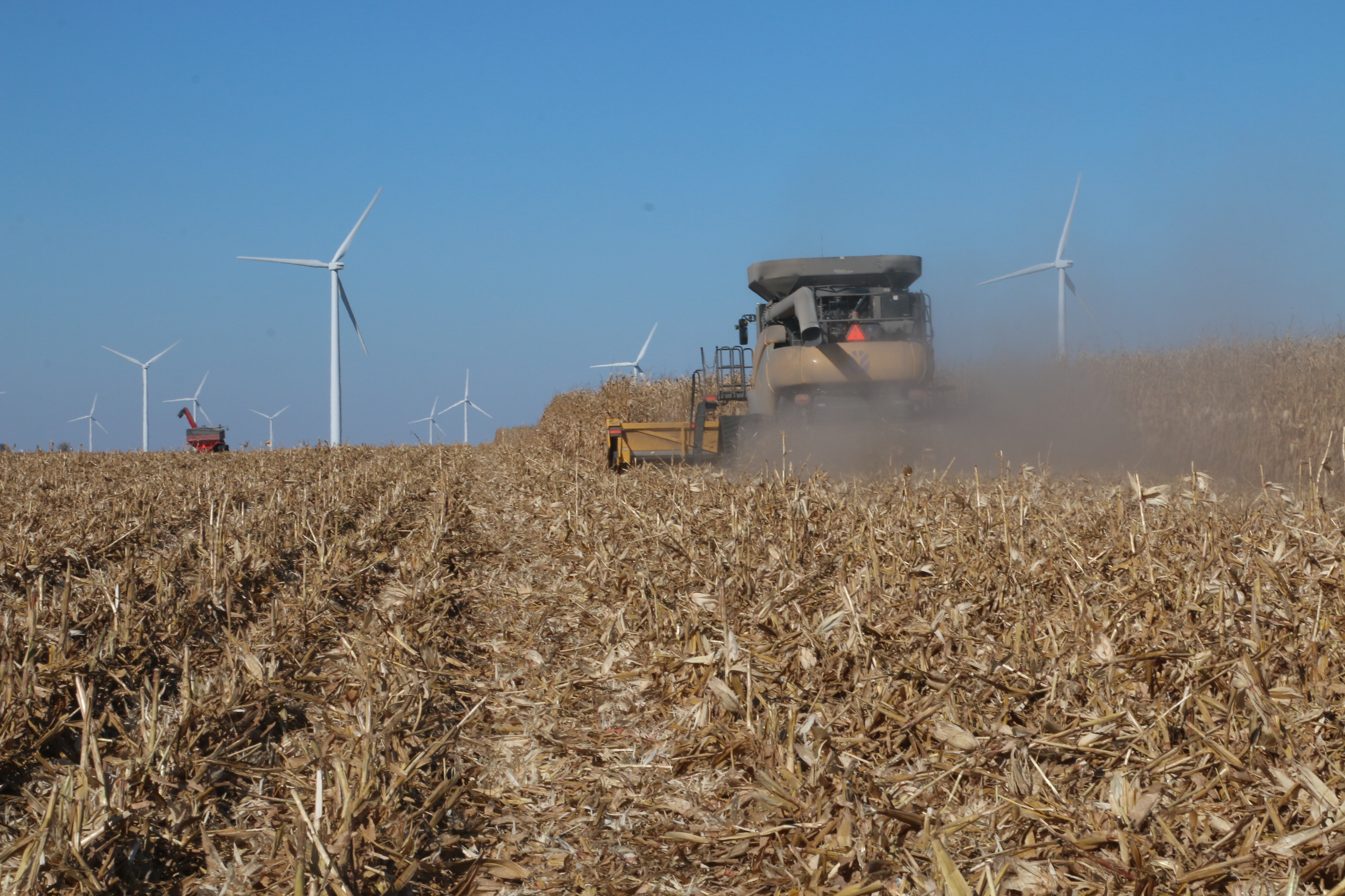 Morning Grain Comments – September 2, 2025