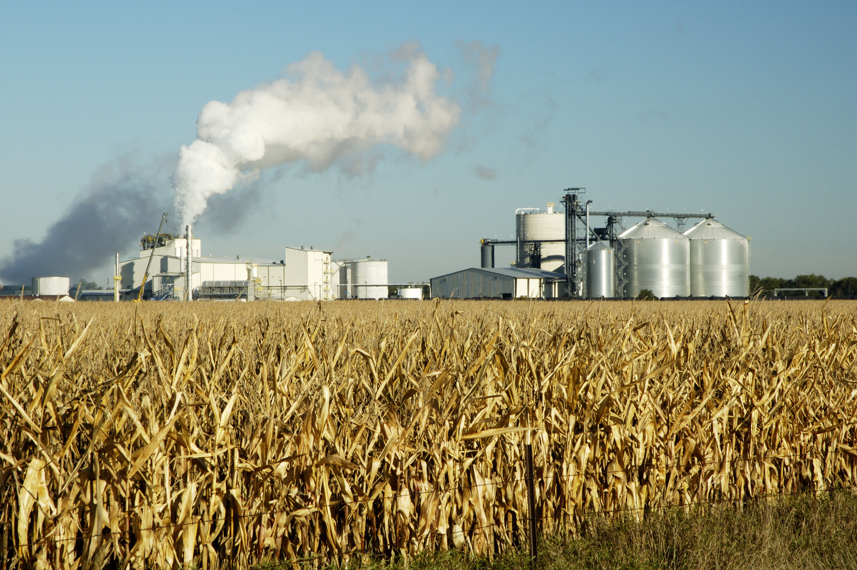 Corn ethanol use falling behind despite record production