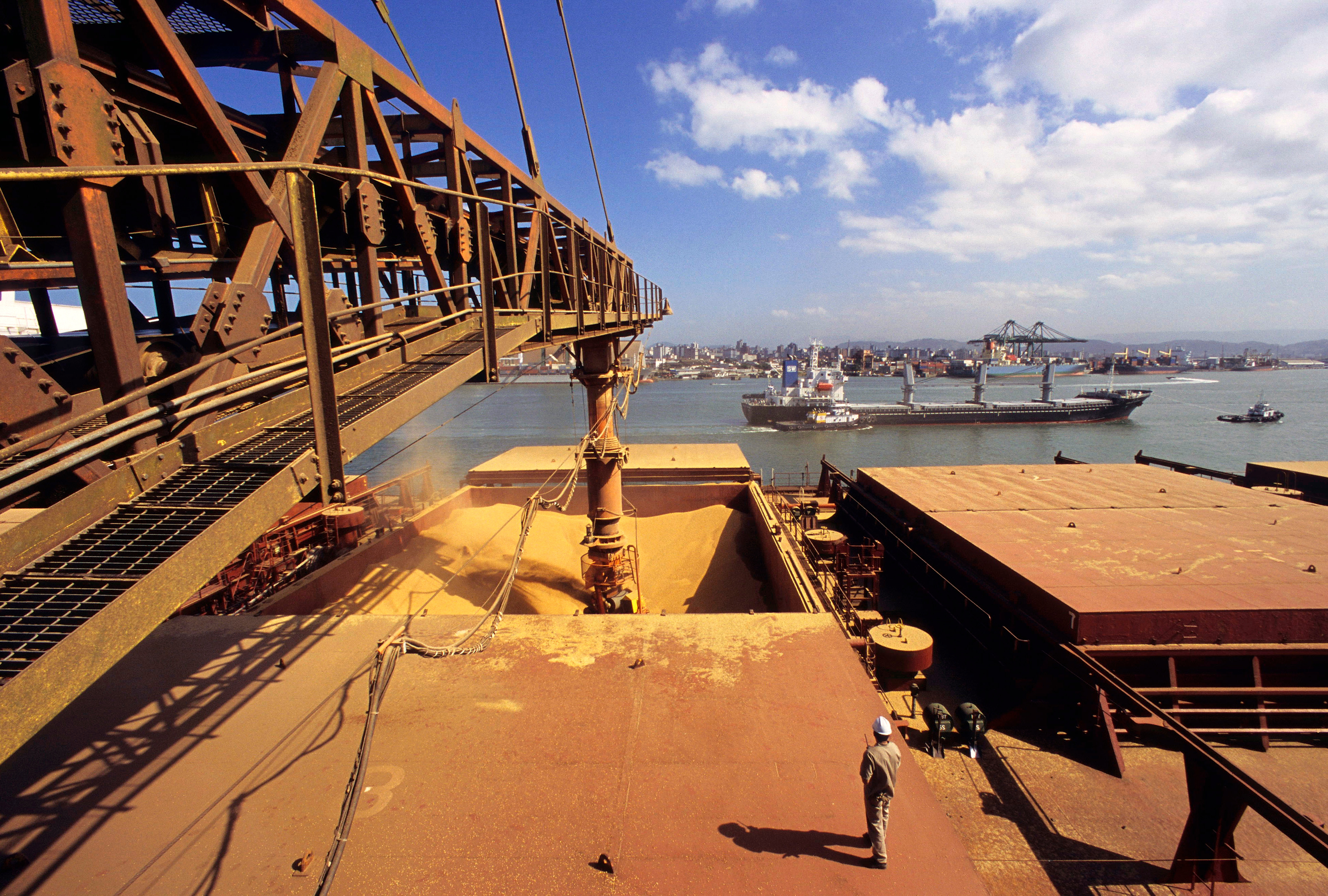 US corn export sales rebound, soy, wheat softens