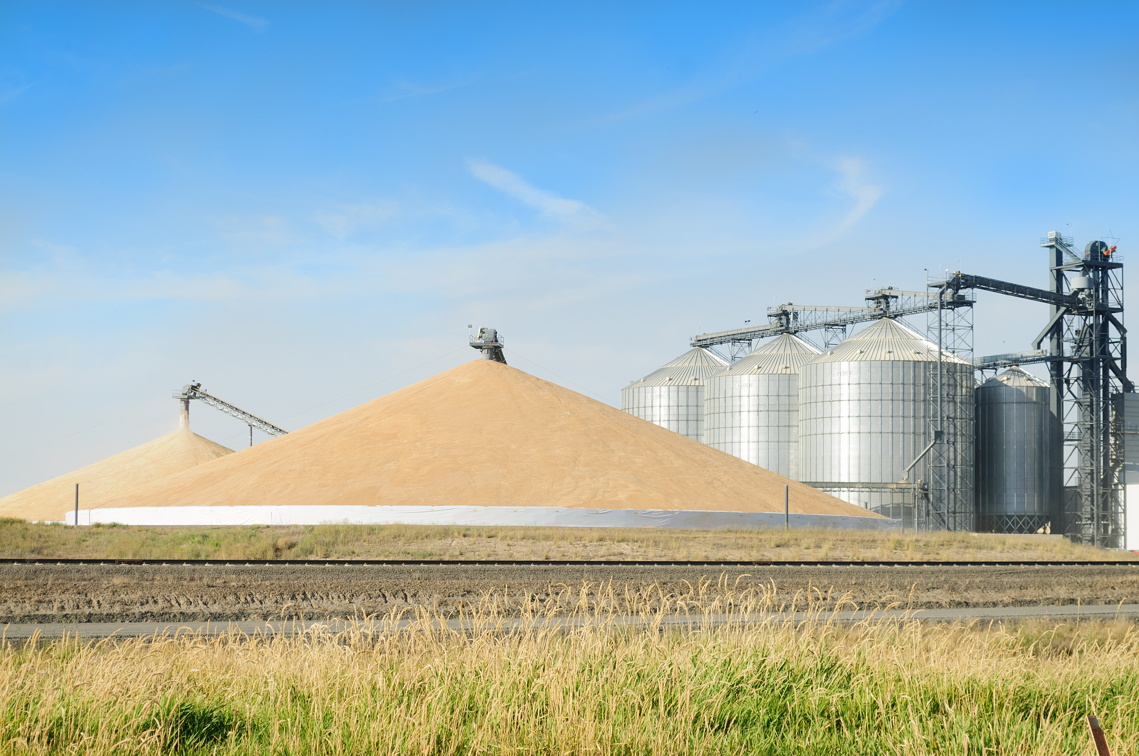 Morning Grain Comments – September 8, 2025