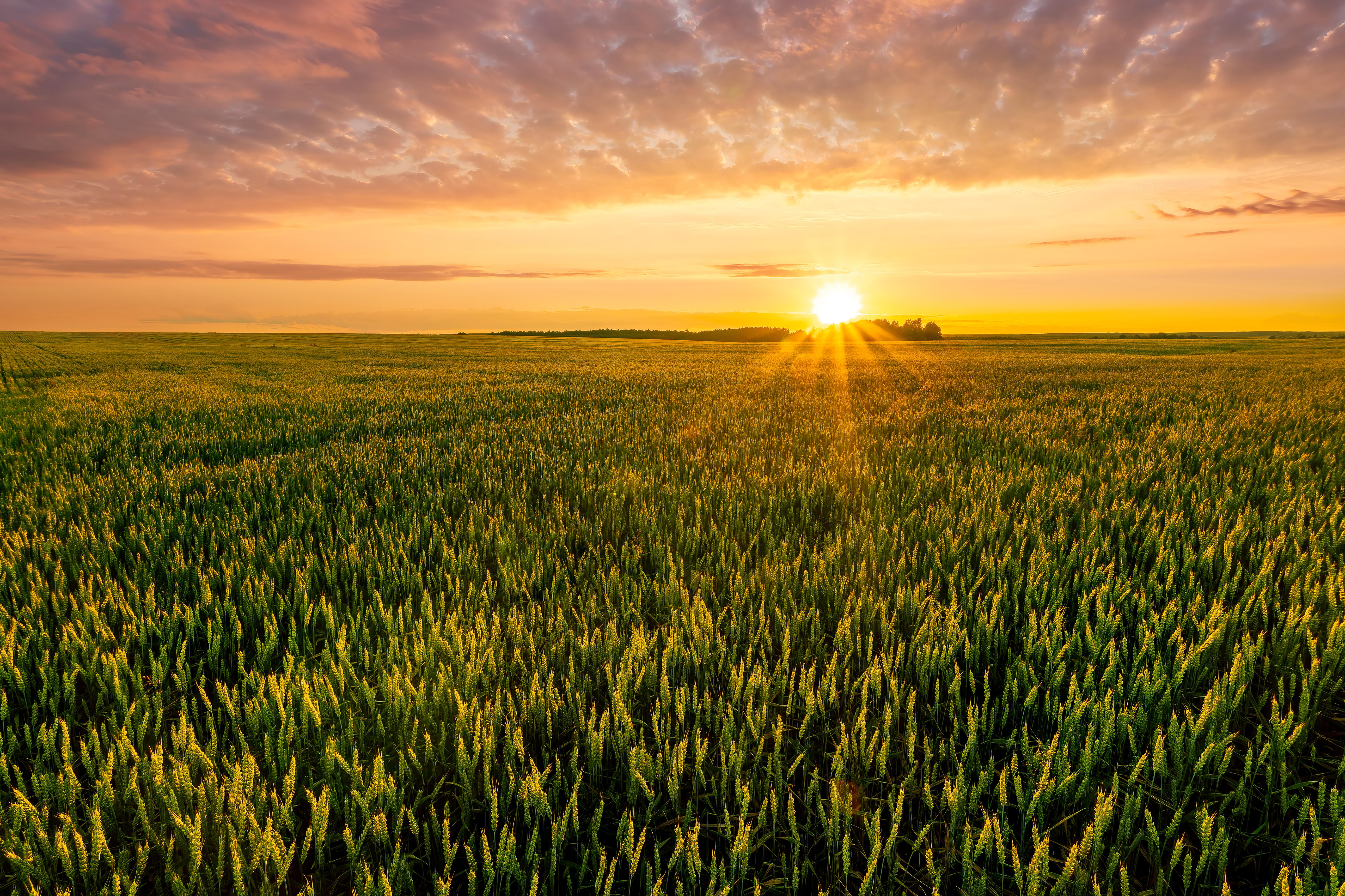 Morning Grain Comments – December 23, 2025