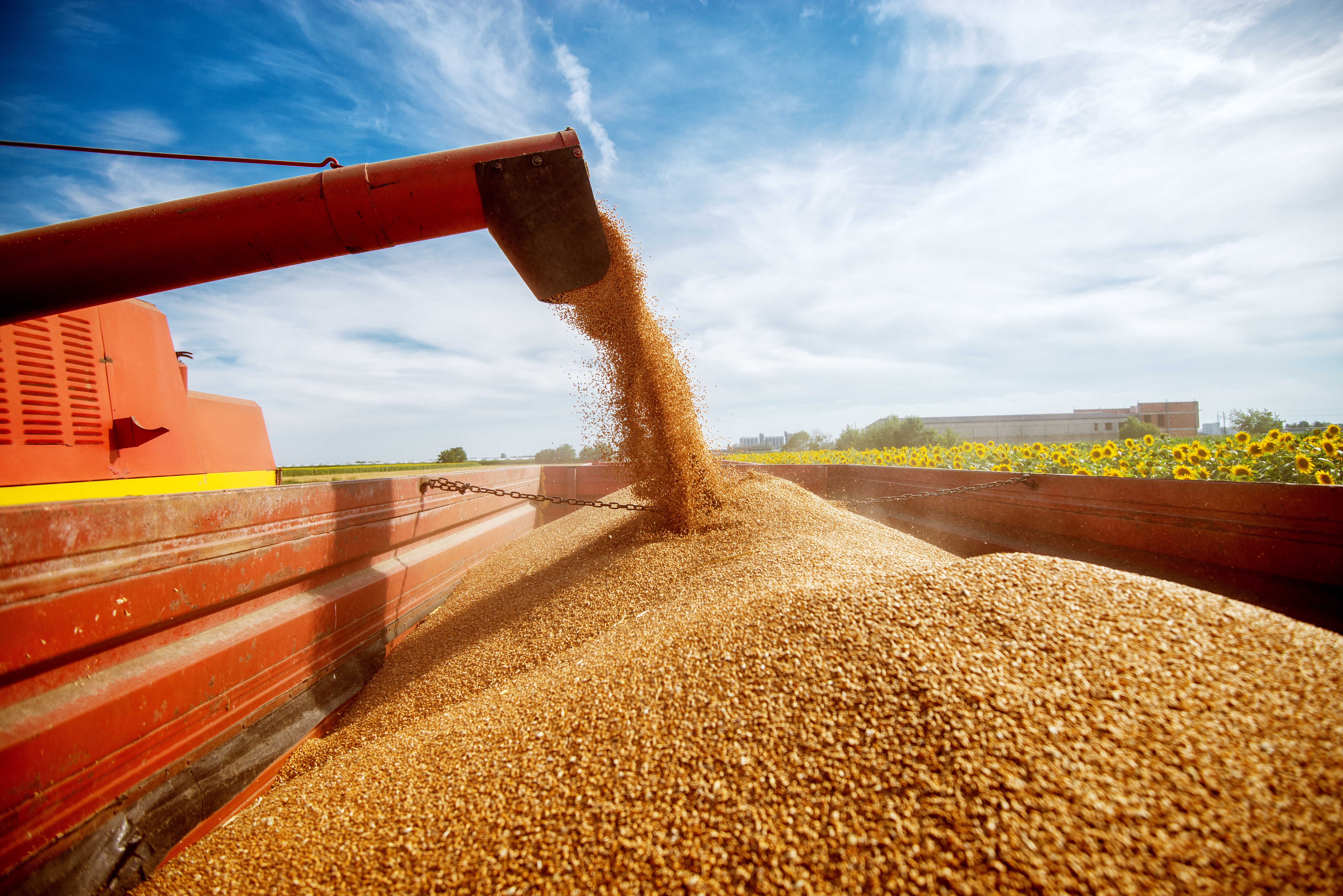 Morning Grain Comments – February 23, 2026
