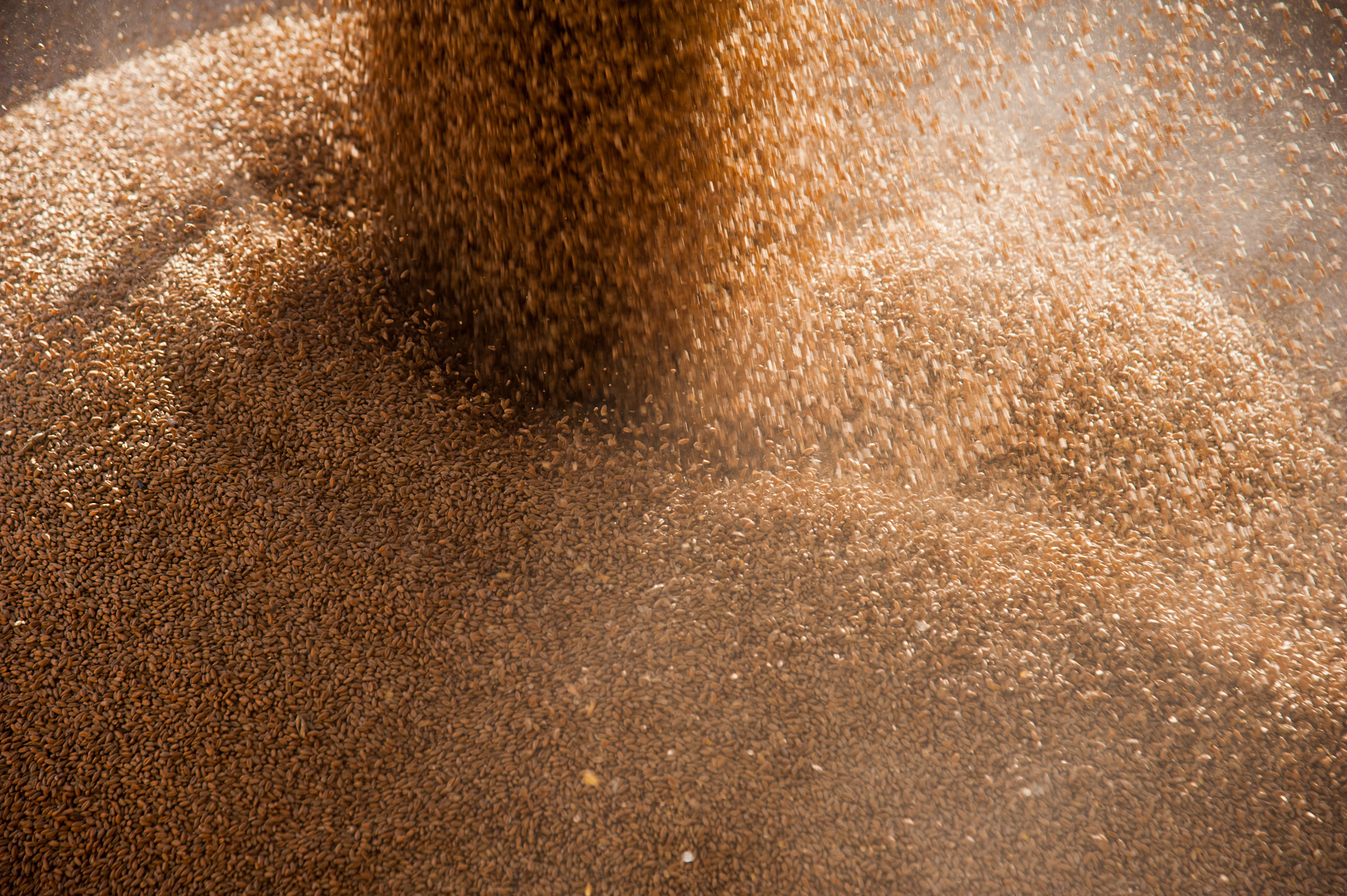 Morning Grain Comments – February 9, 2026