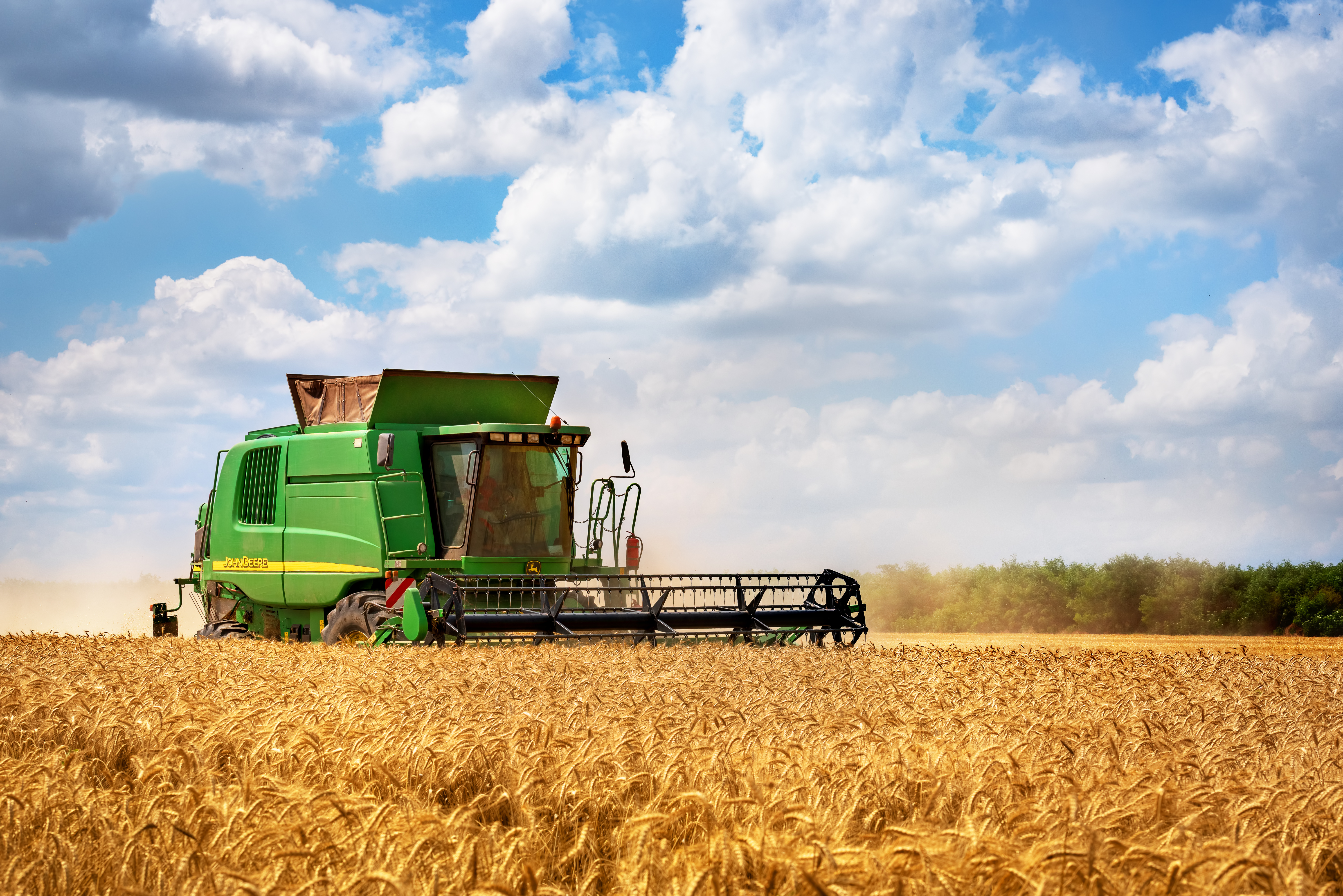 Wheat trades near resistance amid global pressure