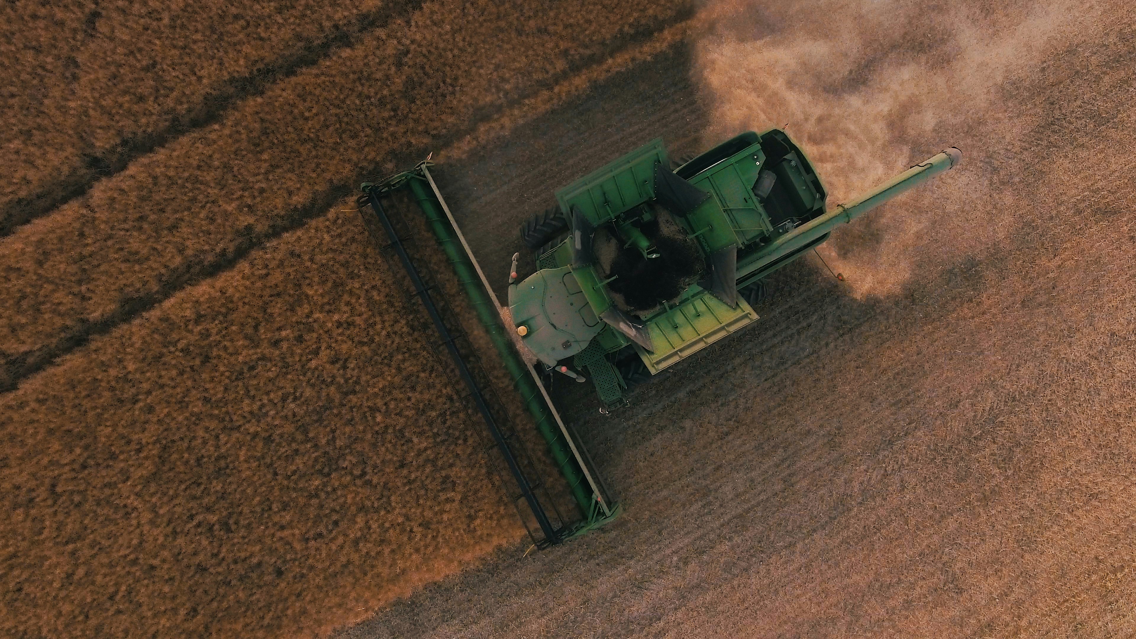 Canola prices fall to support amid strong supply