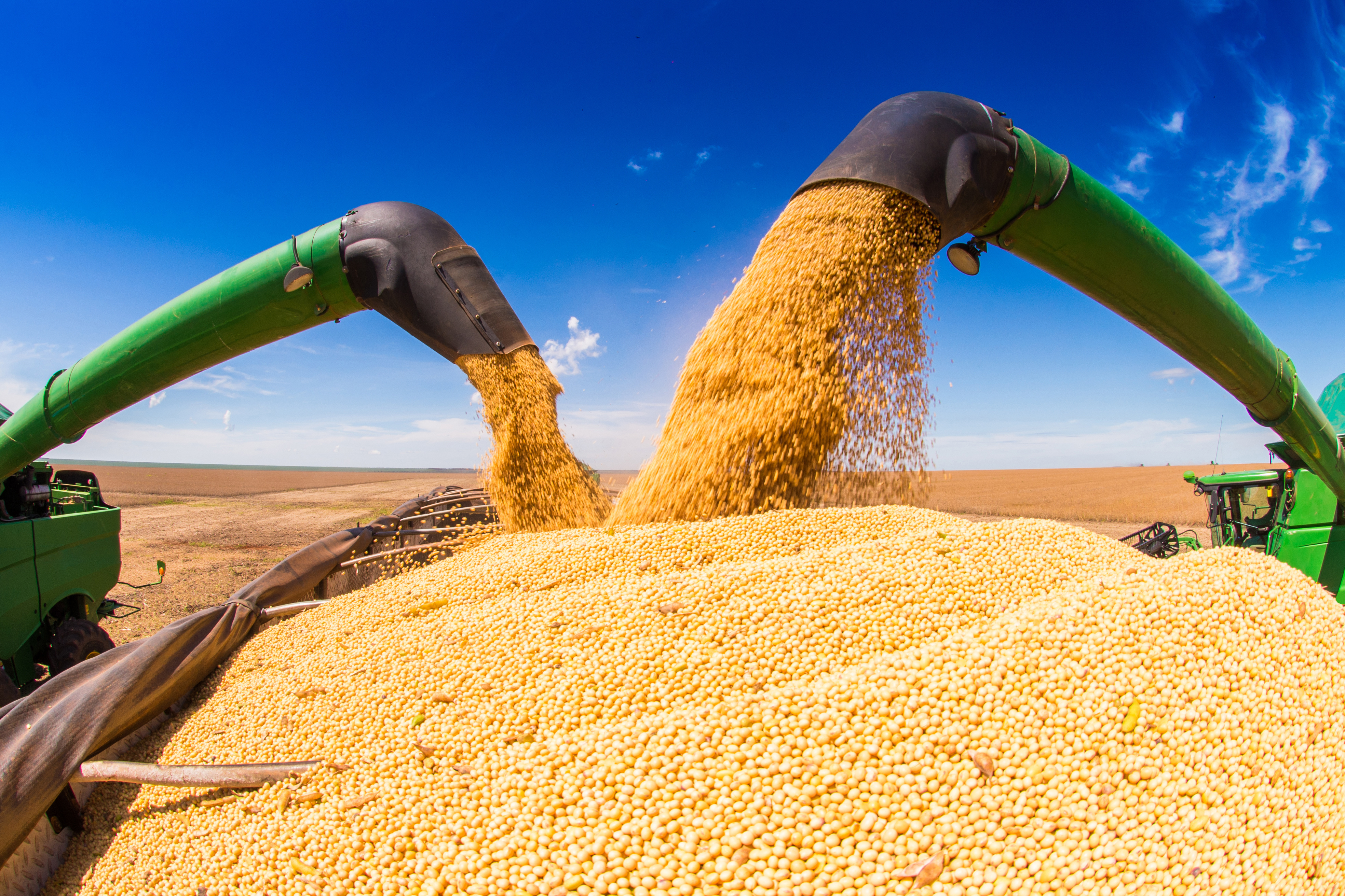 Morning Grain Comments – March 9, 2026