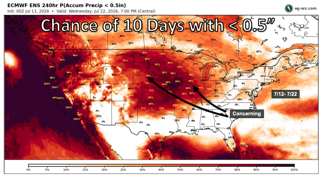 Corn, soybean futures jump on dry Midwest outlook